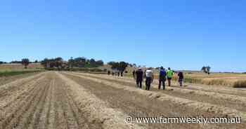 Targeted agronomy and new genetics take centre stage at DPIRD research day