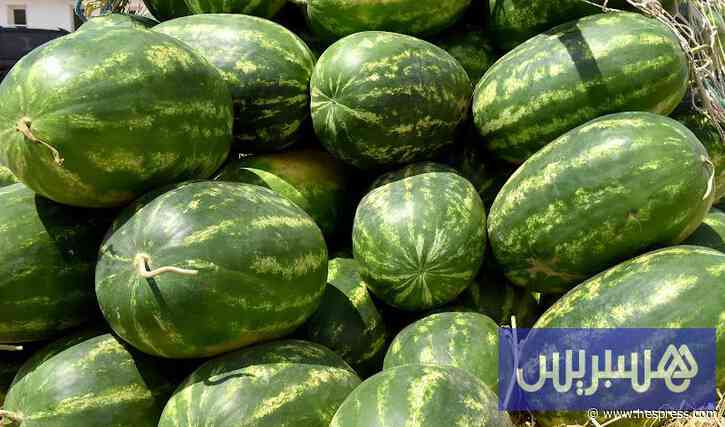 مزارعو "الدلاح" يشتكون قرارا عامليا