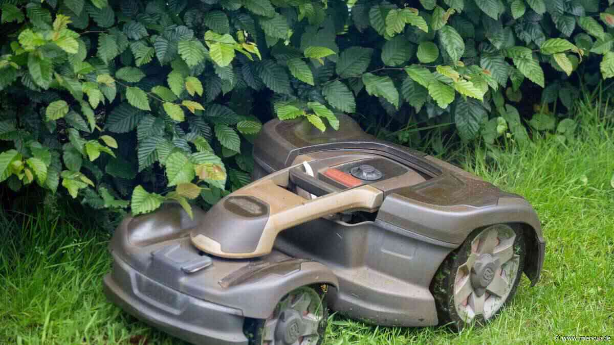 Mähroboter häckseln Igel: Gröbenzell plant Nachtfahrverbot