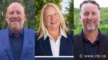 What you need to know about Niagara cities and towns where there's no incumbent mayor running