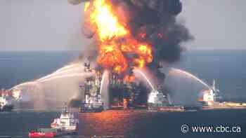 More than 16 years after BP's Deepwater Horizon disaster, marine life has not recovered