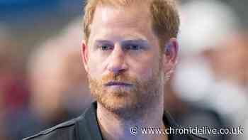 Prince Harry asks himself the same question about his mother 'almost every day'