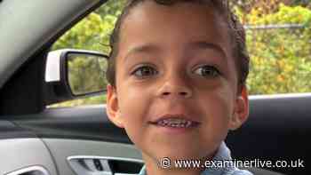 American Bully kills 'sweet' boy, 4, in dog attack before police shoot it dead