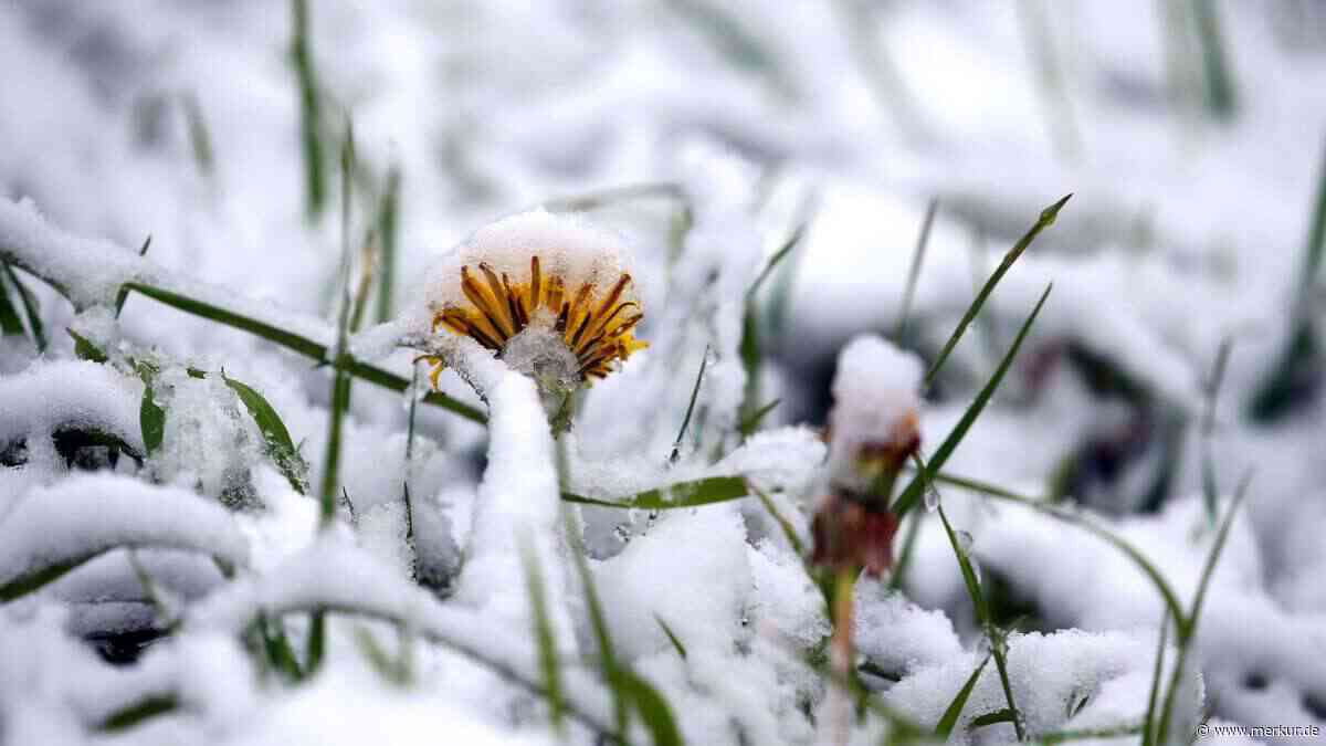 Bauernregel zum ersten Frost: Wann die Temperaturen in Deutschland unter null Grad fallen