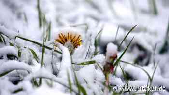 Bauernregel zum ersten Frost: Wann die Temperaturen in Deutschland unter null Grad fallen