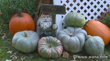 Botanical Conservatory full of fall fun