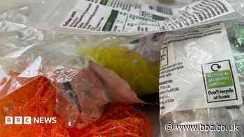 The £20m plant trying to keep plastic waste in the UK