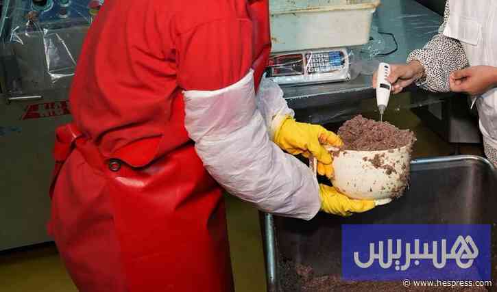 طفرة تأسيس المقاولات بالمغرب تصطدم بمخاطر الإفلاس واستدامة النشاط