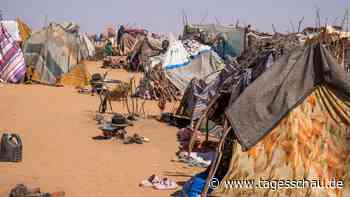 UN-Konferenz: Delegationen bemühen sich um Frieden im Sudan