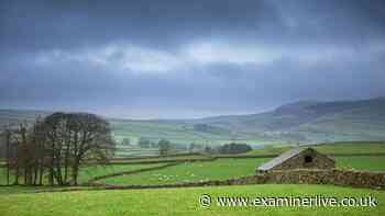Met Office 21-hour yellow rain warning for Storm Austen - 26 areas listed