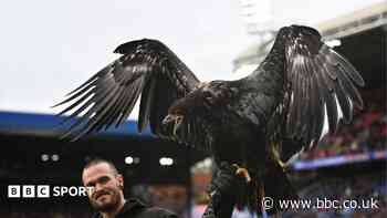 Animal rights group asks Crystal Palace to retire eagle mascot