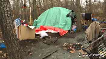 Encampments to be part of this year's point-in-time homelessness count in Prince Albert