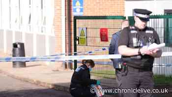 'Obsessive' teenage boy with 'hatred for women' stabbed girl at school