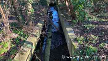 South Norwood Country Park sewage repairs expected to finish this week - ending years of pollution