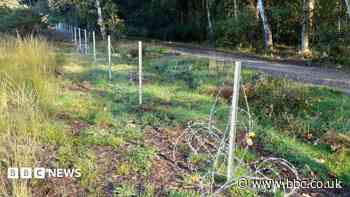 Vandalism puts conservation at risk, council warns