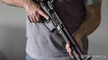 Group assisting long-planned review of firearms — including SKS — has yet to meet