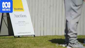 House prices across capitals post steepest quarterly decline ever: Domain