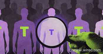 Telehealth Giant Hims Wants to Test Every Dude for Low Testosterone