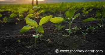 The new rules of climate-smart food