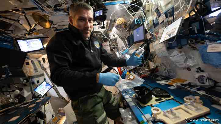 Space botanist conducts plant experiments in orbit | Space photo of the day for Oct. 21, 2026
