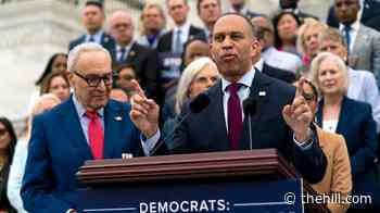 Democrats holding 10-point advantage ahead of midterms: Survey