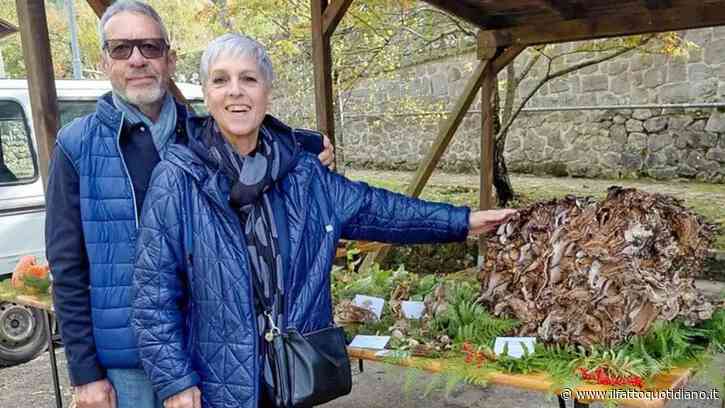 Il ritrovamento straordinario in Toscana: Tiziana e Valter tornano a casa con 25 chili di fungo