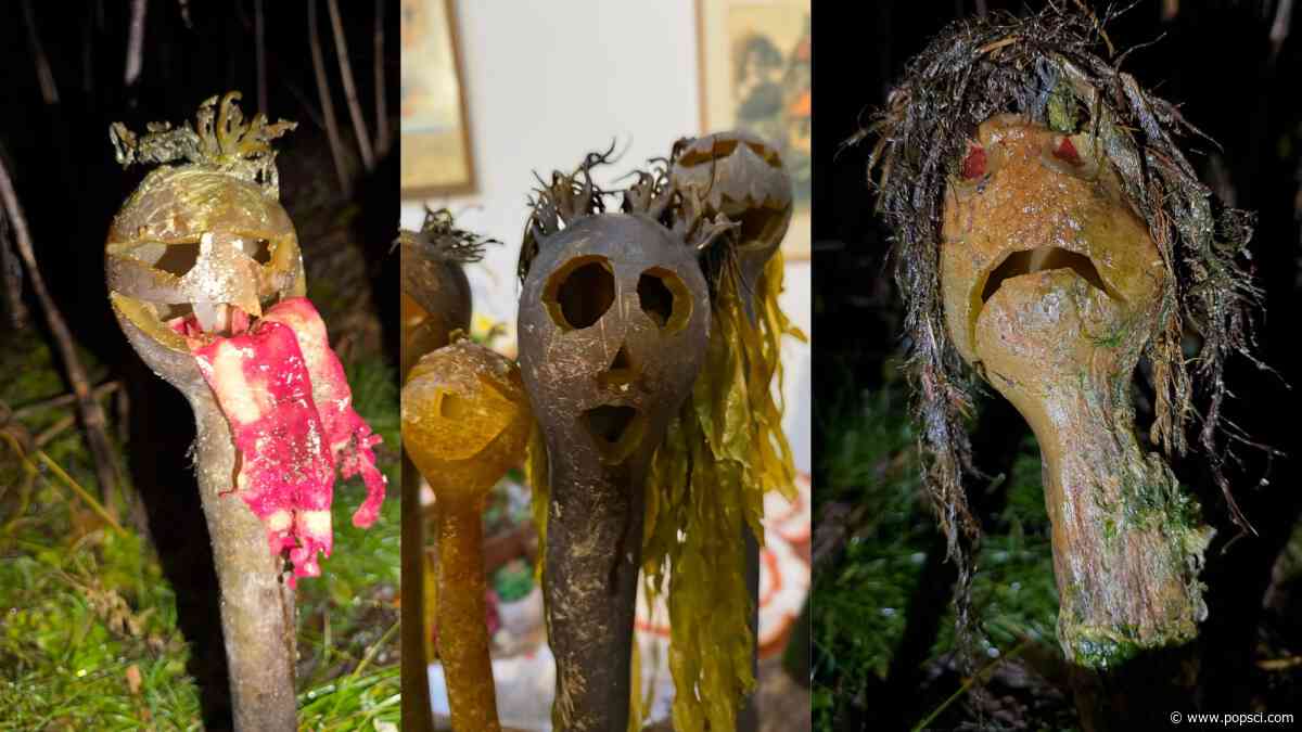 Spooooooky! Alaskan man makes terrifying ‘kelp-o’-lanterns’