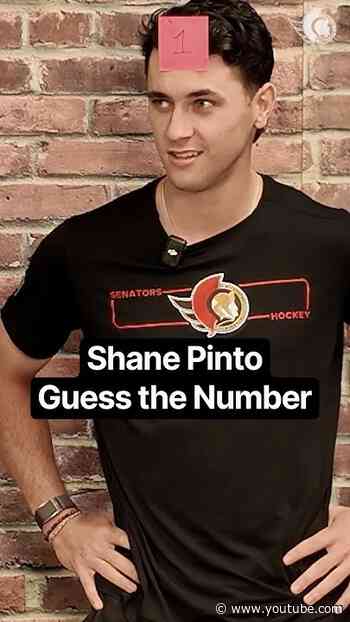 Shane Pinto Guess the Number