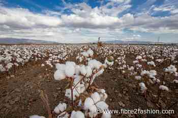 ICE cotton extends gains as weak dollar, firm crude lend support