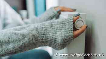 Radiators will be warmer and cheaper to run after easy 10-minute job is done