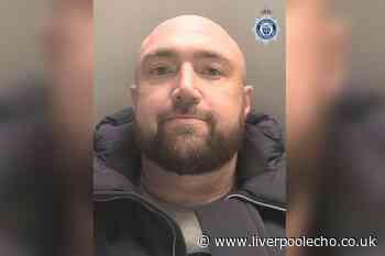 Raging van driver demanded 'do you know who I am?' before running man over