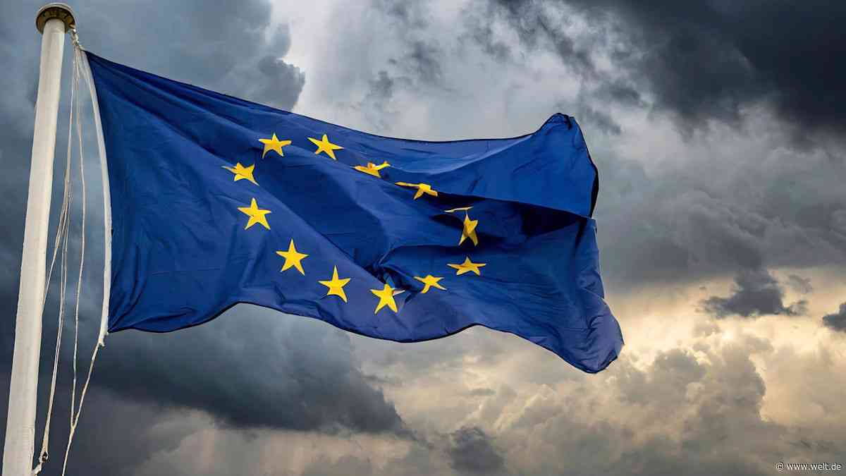 „Kaum nennenswerte Ergebnisse“ – Vernichtendes Urteil über Corona-Fonds der EU