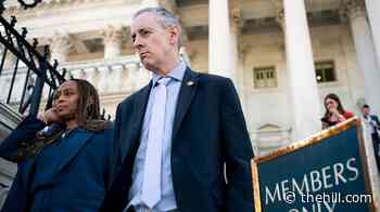 GOP rep: 'We got to investigate' Starlink slowdown report