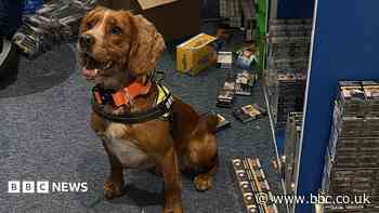 Suspected illegal tobacco seized in shop raid