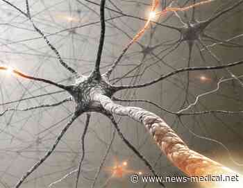 Biological framework tracks postpartum vulvar tissue recovery timelines
