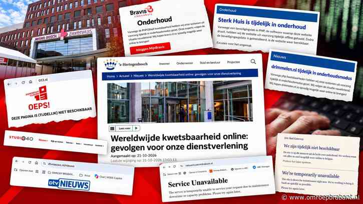 Websites van ziekenhuizen en gemeenten urenlang offline geweest