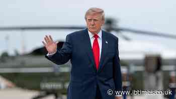 Donald Trump Faces Claims of 'Mental Collapse' After He Is Captured Waving and Saluting at 'Nothing'