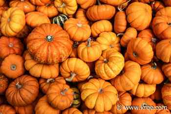 Albuquerque Public Schools host fall festivals, trunk-or-treats, more for October