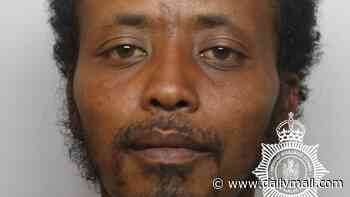 Eritrean criminal migrant who sexually assaulted woman before being stopped by hero passer-by set to be deported as he's jailed