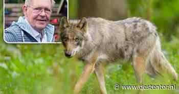 ‘Ze zouden een kogel moeten krijgen’: lezing over de wolf afgelast na bedreigingen