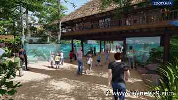 Hillsborough commissioners approve $75M ZooTampa project funding package