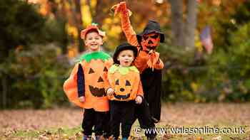 The family-friendly activities you can enjoy in spooky castles across Wales this Halloween