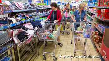 Lidl is offering customers free middle aisle bargains for a whole year