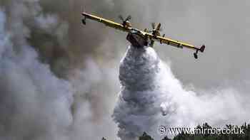 UK 'needs firefighting planes and barbecue bans' as wildfires 'part of our new reality'