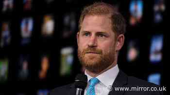 'He put the knife in!': Stunning hypocrisy of Prince Harry’s latest public plea