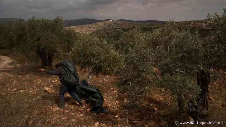 Due italiani detenuti per un giorno in Cisgiordania con l’accusa di terrorismo: “Io bendato e picchiato dalla polizia israeliana”