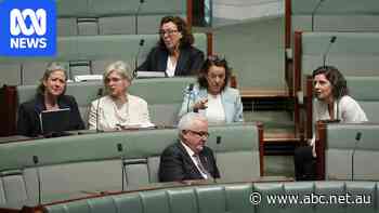 Politicians urged to report threats and vary daily habits