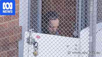What happens next in court case for Helen Haines's accused attacker?