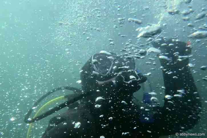 VIDEO: YouTuber draws the viewer under the Salish Sea in Sidney