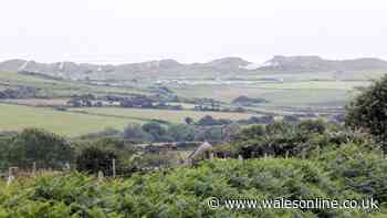 Police investigating suspected illegal hunting on Gower